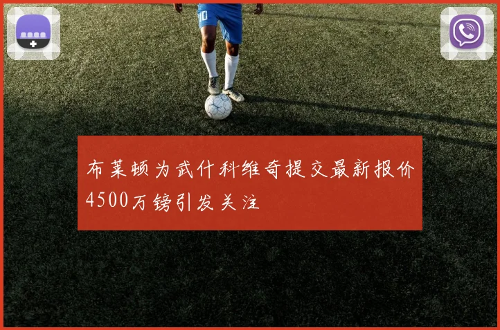 布莱顿为武什科维奇提交最新报价4500万镑引发关注